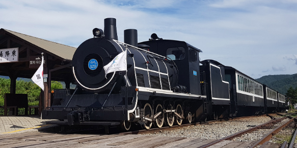 2025-전남-장미-축제-증기기관차-체험-사진