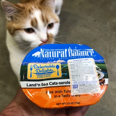 고양이습식사료