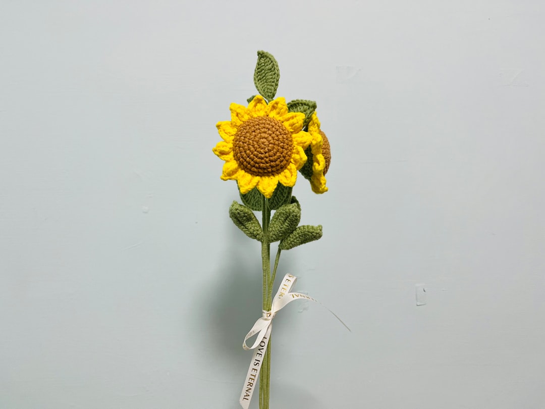 구절초 → Gujeolcho (the herbflower)