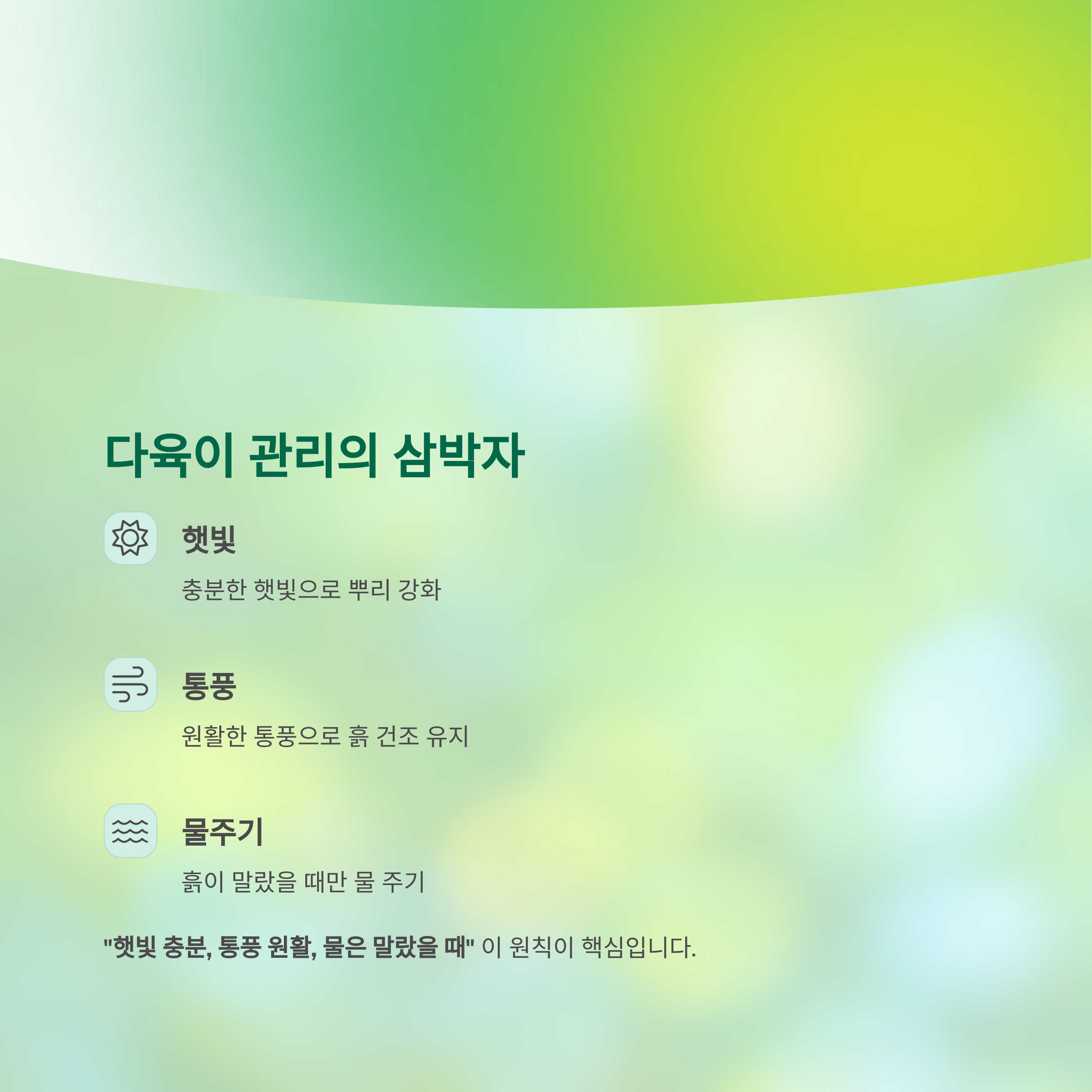 다육이 관리의 삼박자