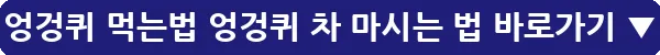엉겅퀴 먹는법 엉겅퀴 차 마시는 법_8