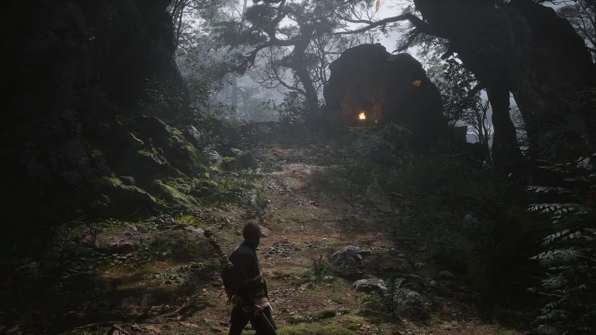 빛이-들어오는-숲-속의-모습