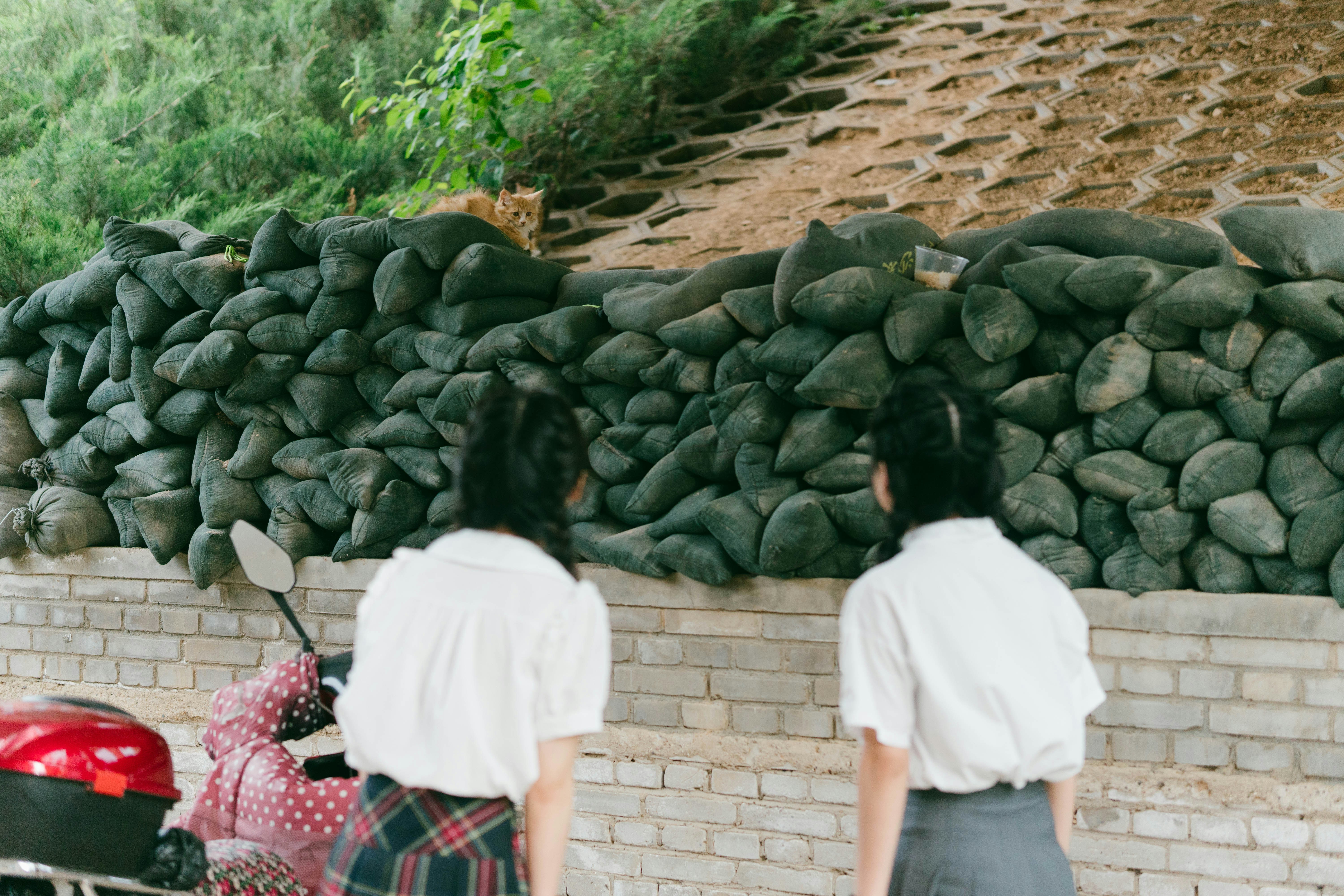 성조숙증 검사비용