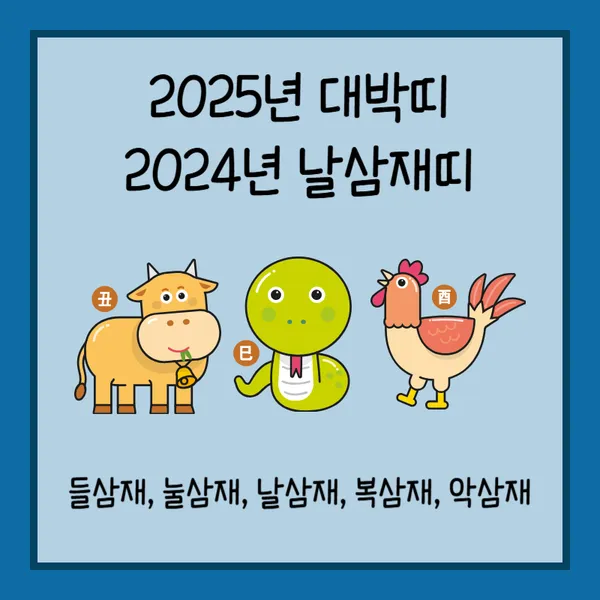 2025년 대박띠