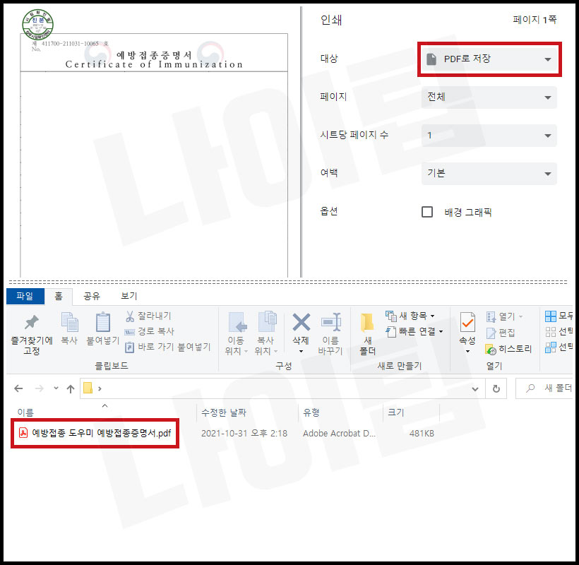 백신 접종 완료 영문 증명서 발급 pdf