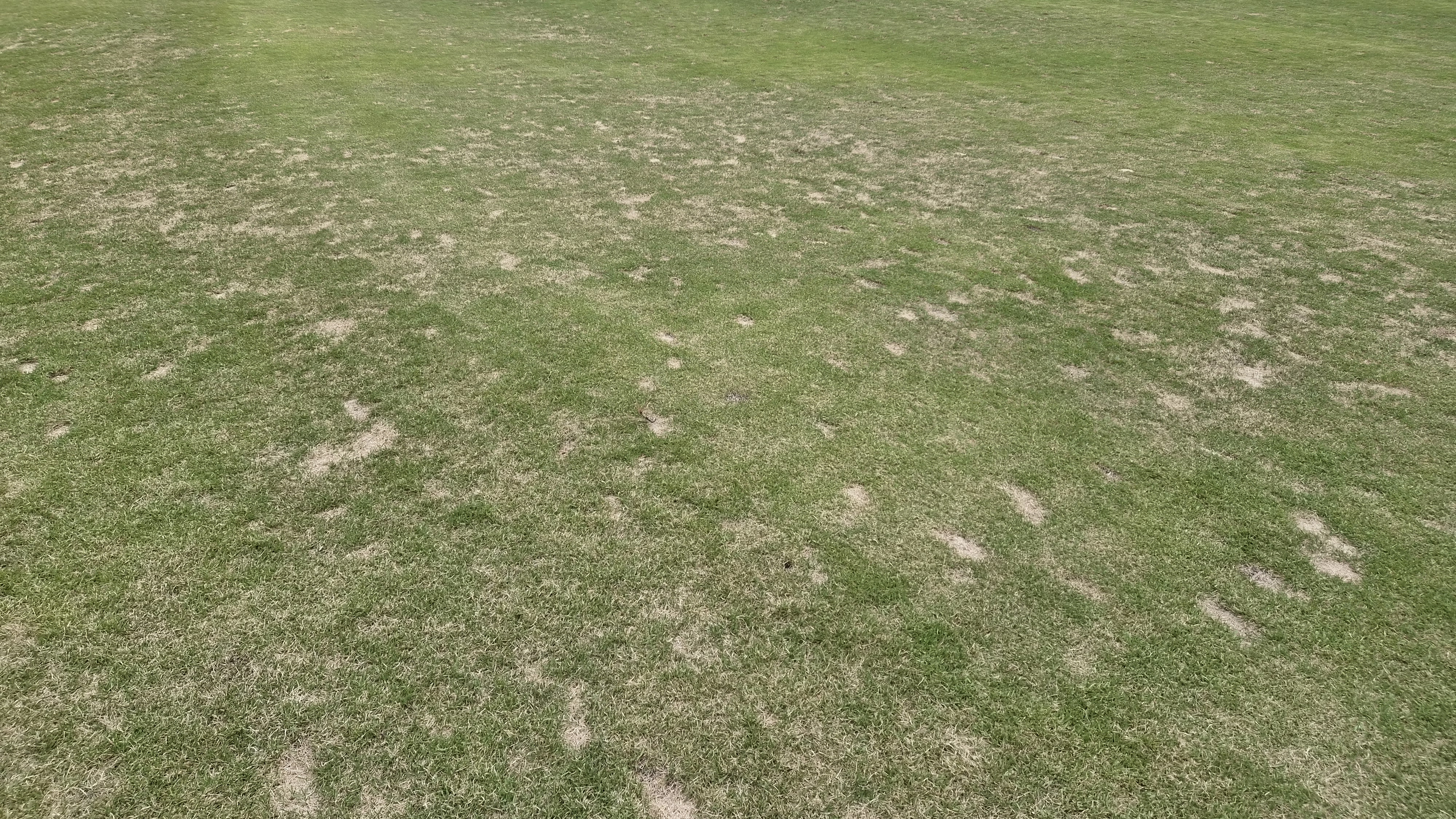 포웰cc 프린세스 라운드 후기