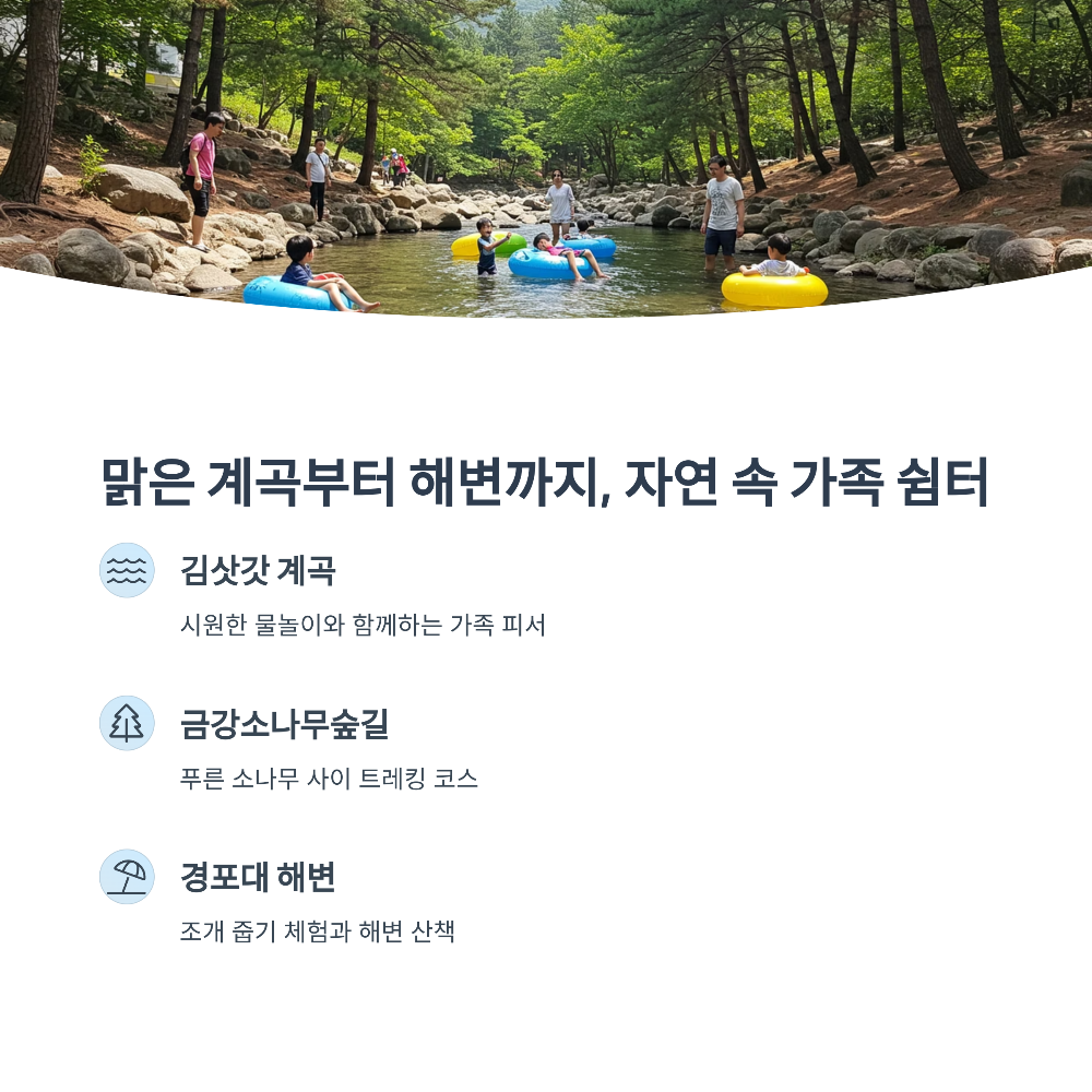 모르면 손해! 2025 국내 가족여행지 추천 리스트 (아이들과 꼭 가볼 곳)