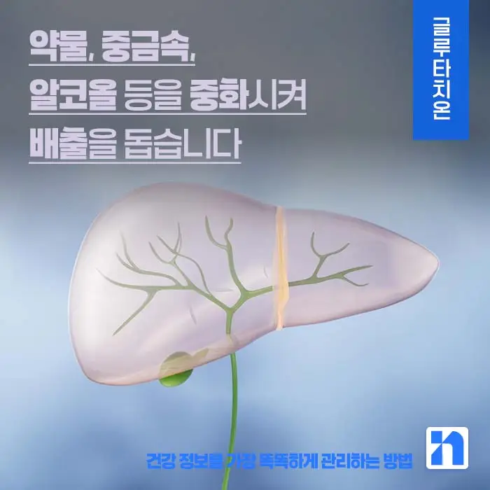 글루타치온 효능