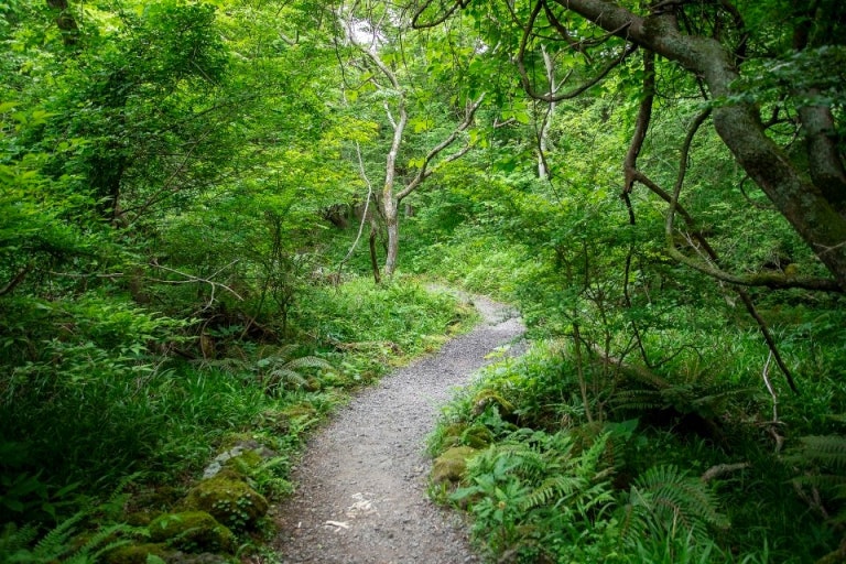 교래자연휴양림 관련 사진