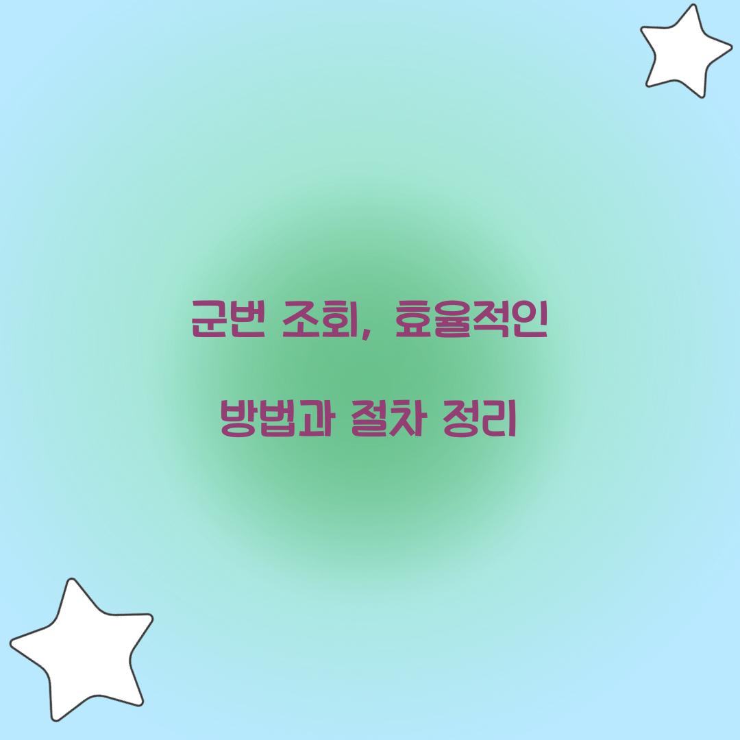 군번 조회