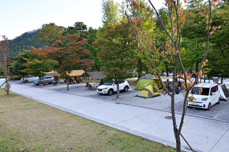 경기도 포천 인생캠핑장, 추천캠핑장