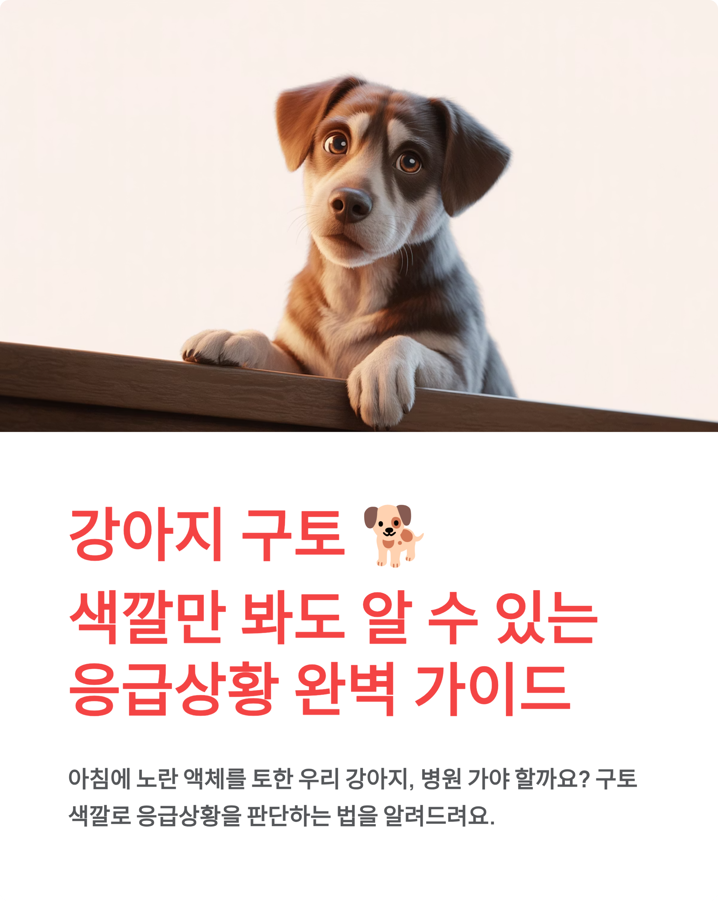 강아지 구토 🐕 색깔만 봐도 알 수 있는 응급상황 완벽 가이드