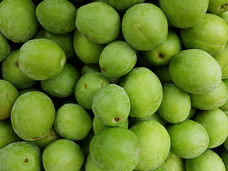 배탈 났을 때 좋은 음식 매실