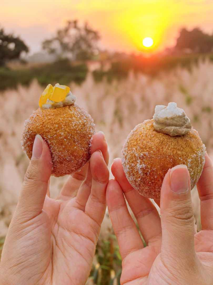 10월 지역 축제 제주 가을 축제 억새