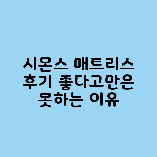 시몬스 매트리스 후기 좋다고만은 못하는 이유
