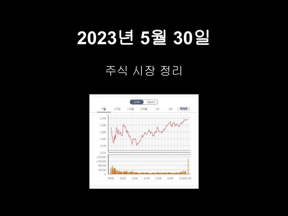 2023년5월30일주식시장