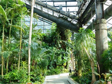 서울대공원-식물원