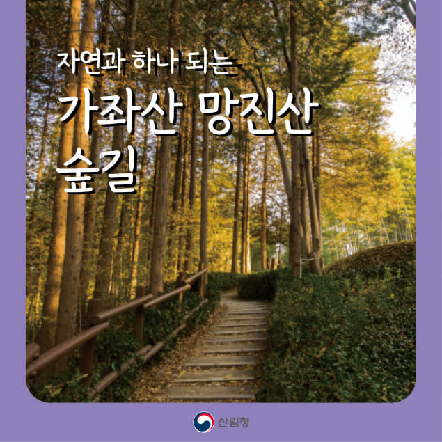 [명품숲길 50선] 가좌산&middot;망진산 숲길, 전망과 역사가 어우러진 진주의 명품숲길