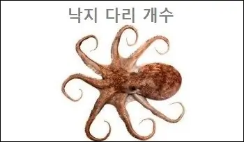낙지 다리 개수