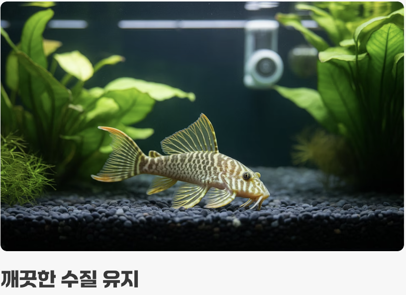 건강하게 오래 함께하는 법 (수명과 수질)