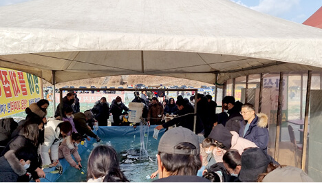 축제의 한 코너에서 방문객들이 송어를 잡는 체험을 즐기며, 축제 분위기를 만끽하는 모습