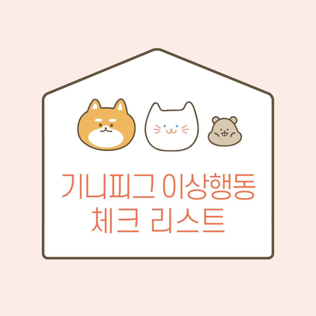 기니피그 이상 행동 체크 리스트 관련 이미지