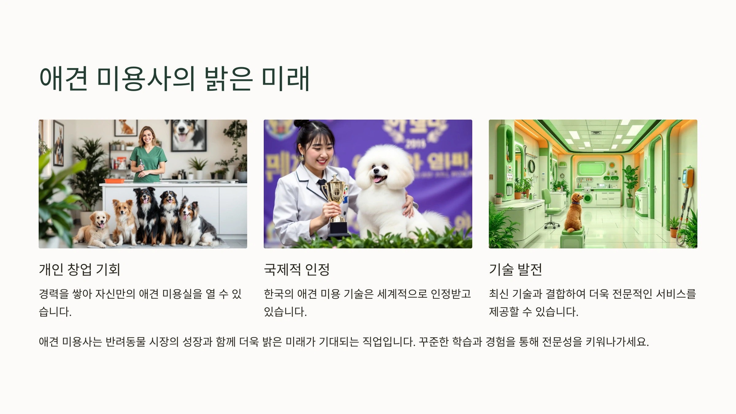 목동 애견 미용 학원 선택 가이드 🐶✂️