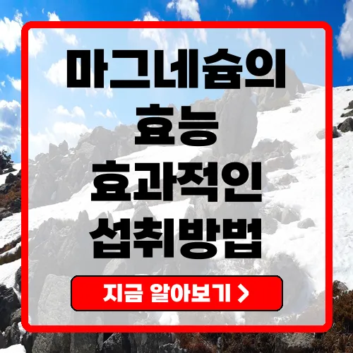 마그네슘 효능과 효과적인 섭취 방법 총정리