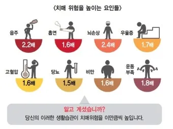치매 예방 운동 뇌건강 걷기 퍼즐 독서 습관_14