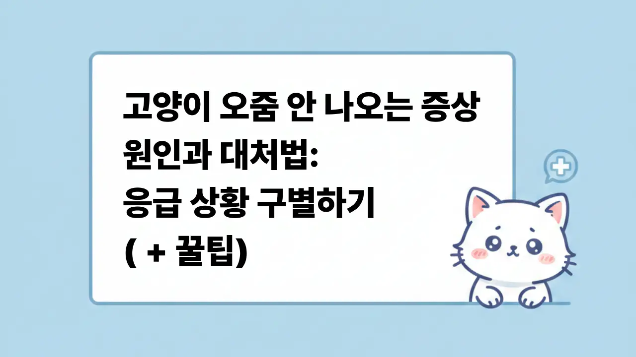 고양이 배뇨 곤란 증상과 응급 상황 대처법 정보를 담은 귀여운 고양이 캐릭터 일러스트 썸네일 이미지