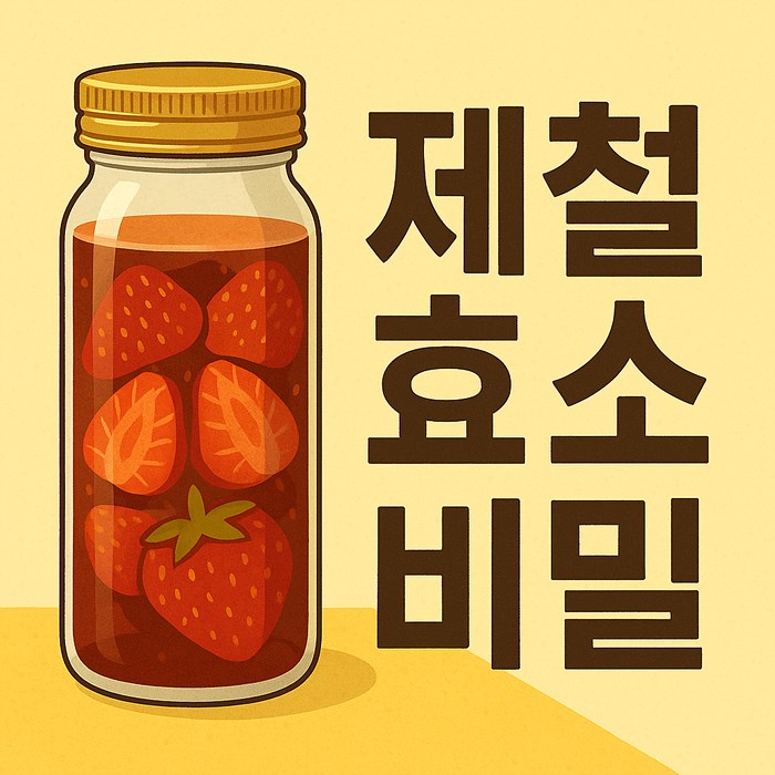 효소음료 발효 원리 & 제철 재료 응용법