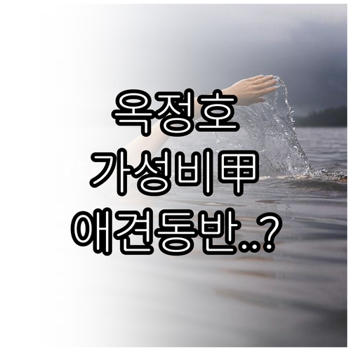 옥정호 근처 가성비 숙소부터 애견동반..
