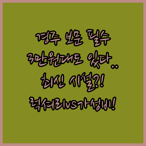 럭셔리 소노캄 경주부터 3만원대 가성..