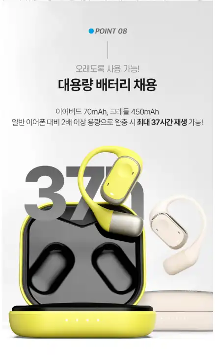 블라우풍트 무선 이어폰 - 찐 후기 (장단점 다 알려 드림!!!) - 100주년 에디션의 특별함