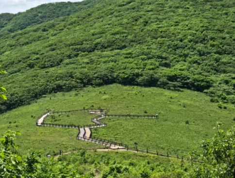 강원도 여행지 추천