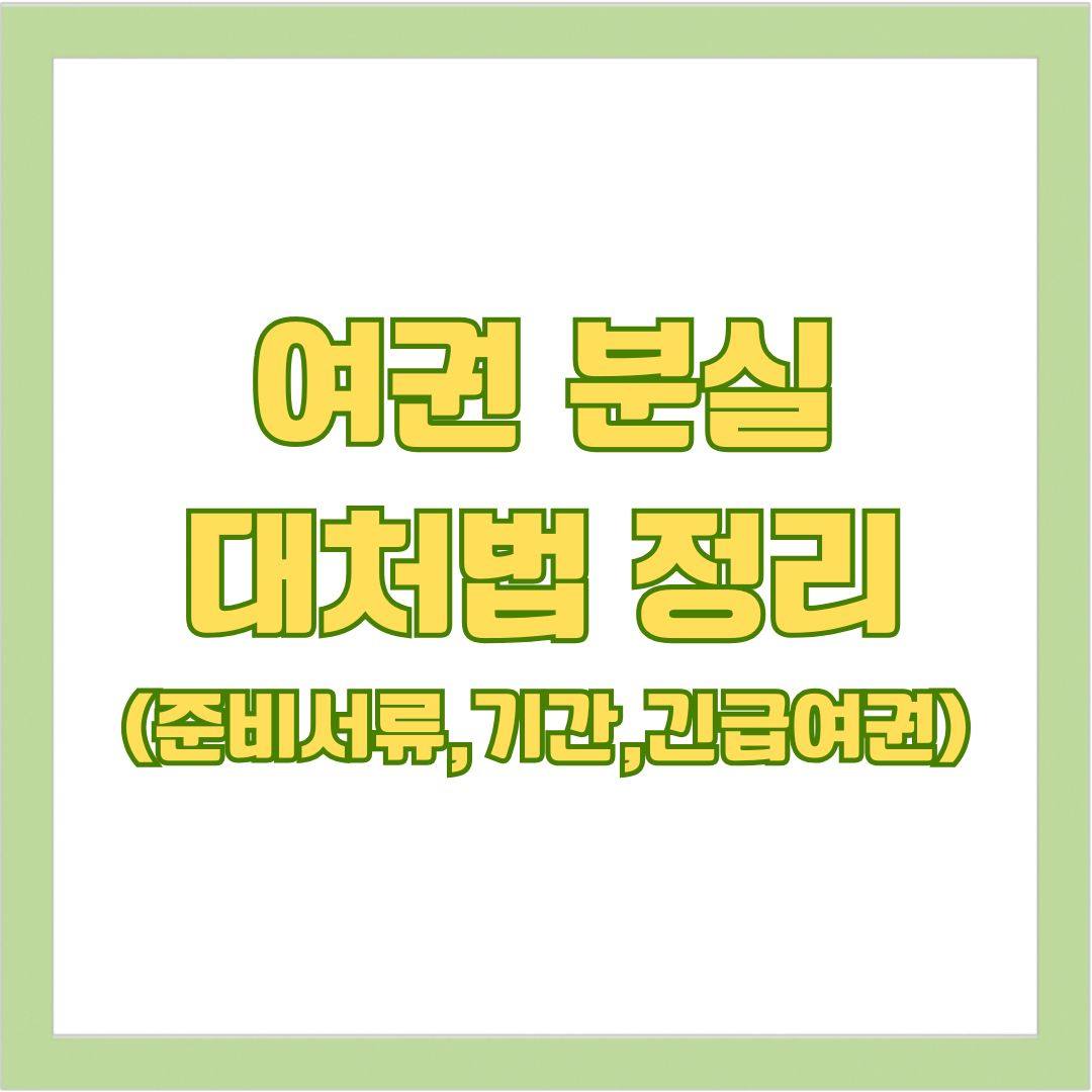 여권 분실 대처법 정리(준비서류, 기간, 긴급 여권 발급, 팁)