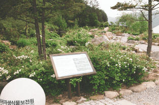 평창 가볼만한곳