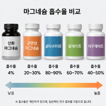 마그네슘 종류별 차이 총정리! 산화·구연산·글리시네이트 어떤 걸 먹어야 할까?2