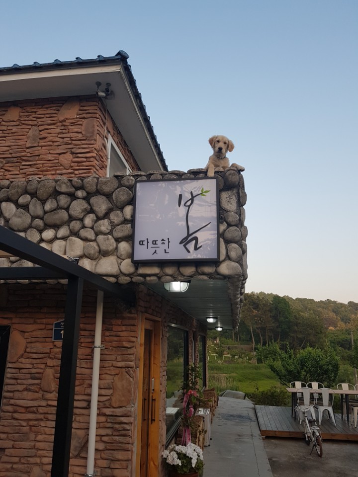 익산 미륵산성 근처 맛집