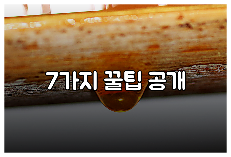 7가지 꿀팁 공개
