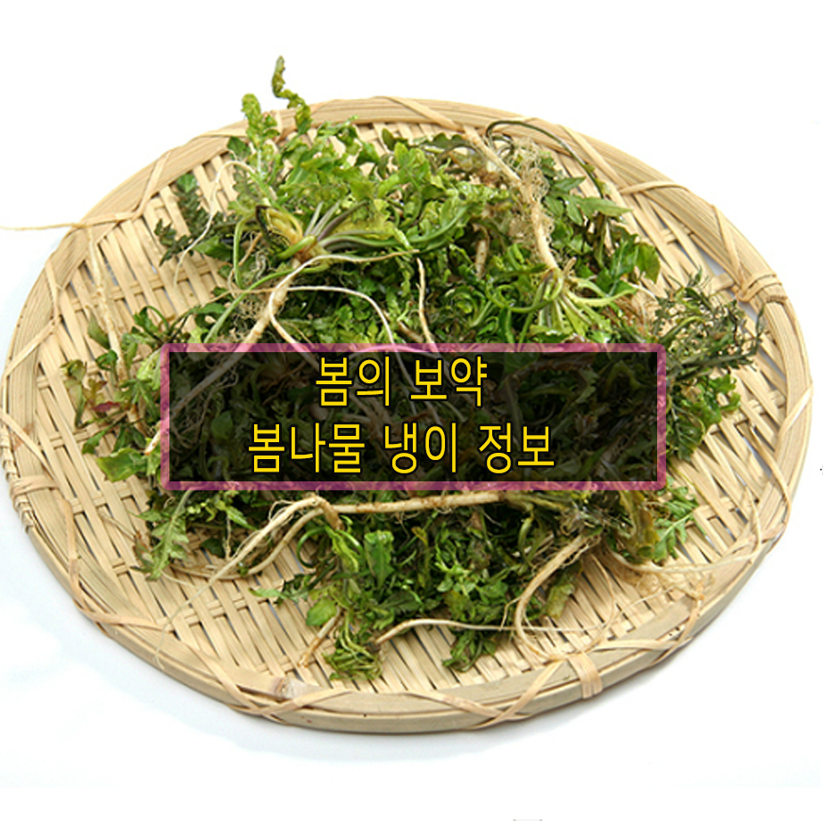 냉이 관련 이미지