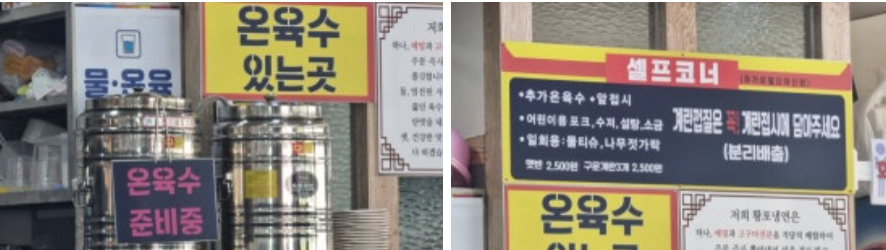 [4월 축제]화왕산 진달래❘4월 둘째주 주말 개화 상황, 방문 후기, 교통편, 맛집