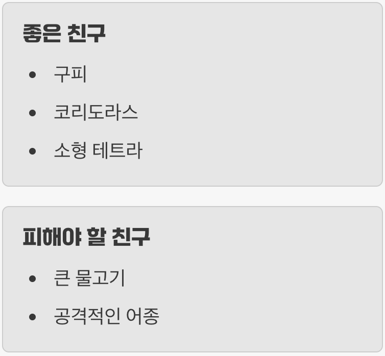 함께하면 즐거운 '착한 친구들'