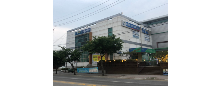원주시 내과