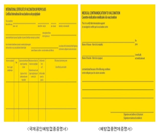 국제예방접종증명서 예시