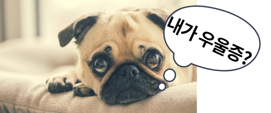 반려동물우울증