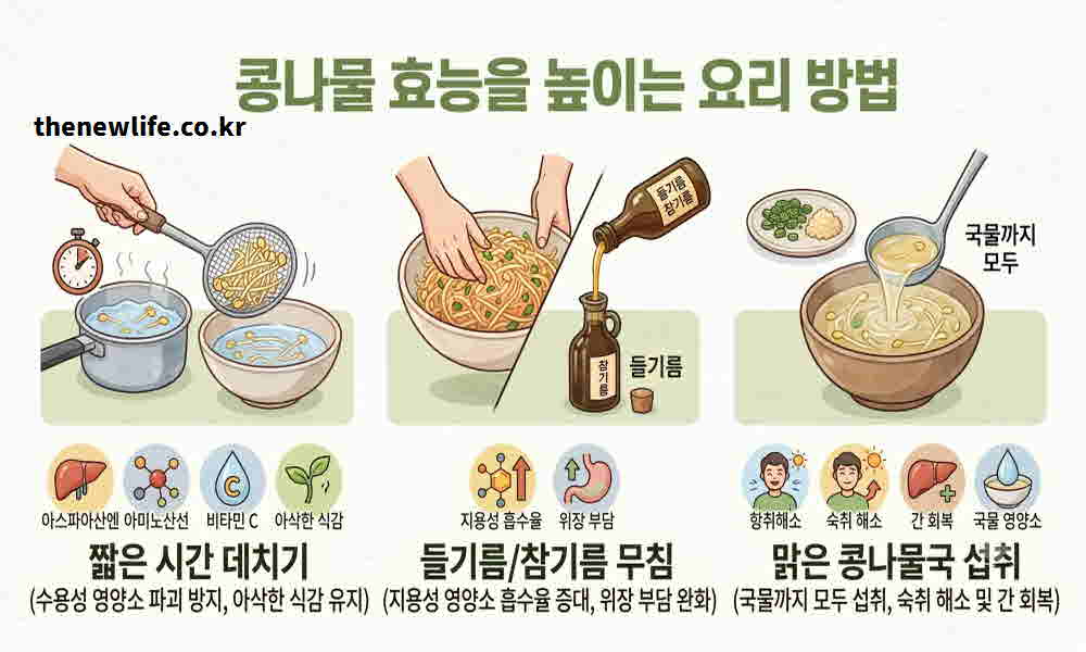콩나물 효능 높이는 요리
