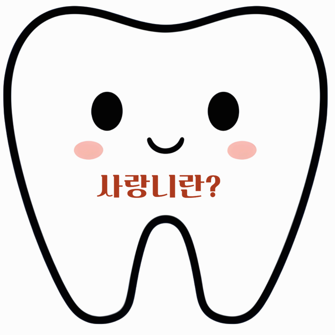 사랑이란