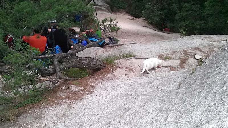 수락산(Suraksan Mountain)