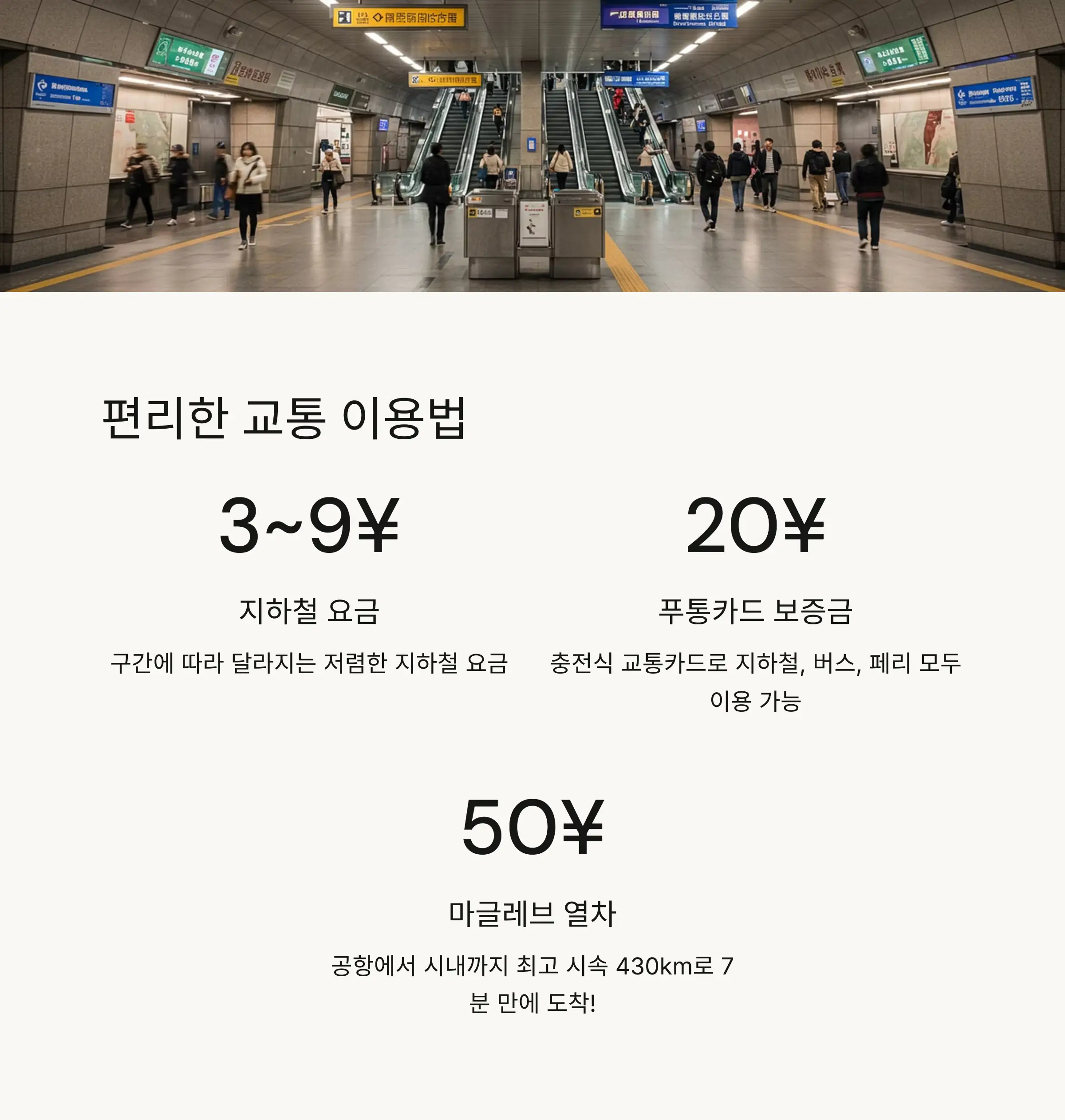 🍜 상하이 맛집 추천